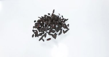 Tonka Feve, dipteriks kokulu baharat, Beyaz Arkaplan 'a karşı patlayan baharat, Ağır çekim 4k