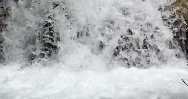 Skradins Wasserfall Skradinski Buk Krka Naturpark Der Nähe Von Sibenik — Stockvideo