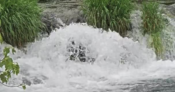 Cascata Skradins Skradinski Buk Parco Naturale Krka Vicino Sibenik Damaltia — Video Stock