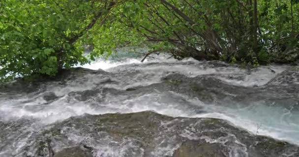 Skradins Waterfall Skradinski Buk Krka Natural Park Sibenik Damaltia Croatia — стокове відео