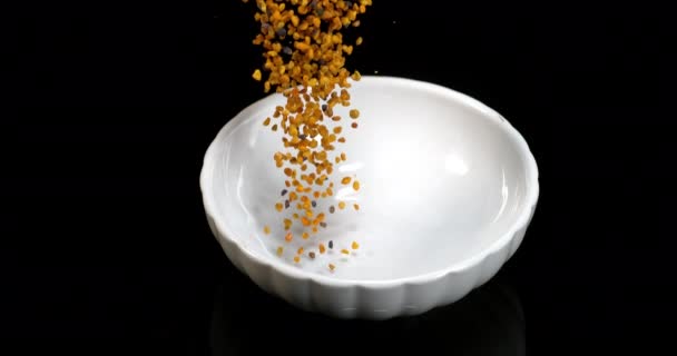 Pollen Dumplings Falling Black Background Crockery Slow Motion — Stock Video