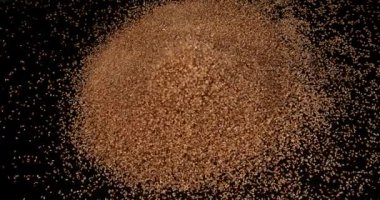 Altın renkli susam, sesamum indicum, Siyah Arkaplan 'a karşı patlayan tohumlar, Crockery, yavaş çekim 4k