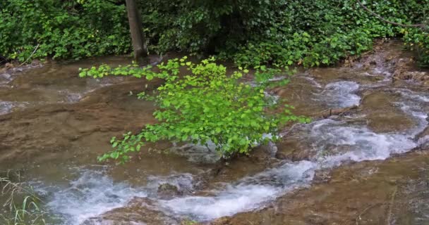 Skradins Şelalesi Skradinski Buk Krka Doğal Parkı Hırvatistan Damaltia Kentinde — Stok video