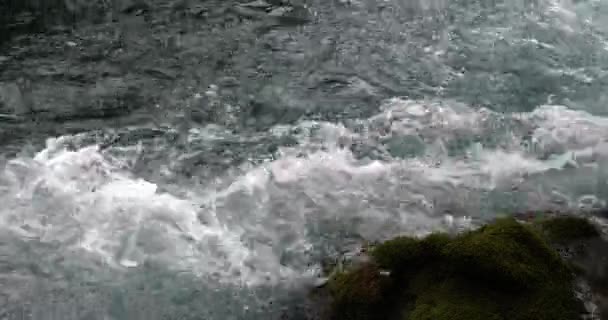 Skradins Waterfall Skradinski Buk Parque Natural Krka Cerca Sibenik Damaltia — Vídeo de stock