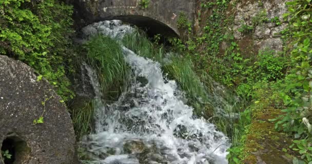 Skradins Wasserfall Skradinski Buk Krka Naturpark Der Nähe Von Sibenik — Stockvideo