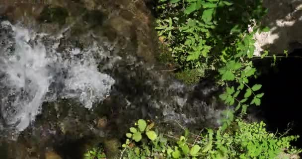 Rog Waterfall Roski Slap Krka Natural Park Sibenik Damaltia Croatia — стокове відео