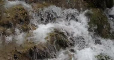 Skradins Şelalesi, Skradinski Buk, Krka Doğal Parkı, Hırvatistan 'ın Damaltia kentinde Sibenik yakınlarında
