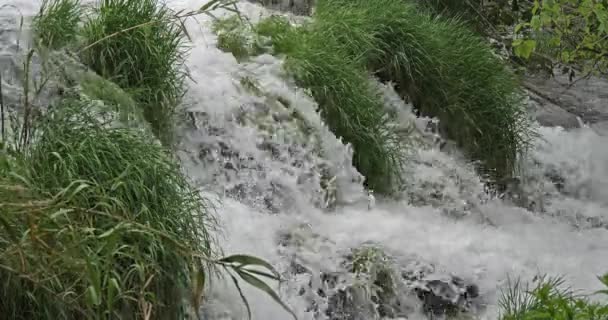 Vodopád Skradins Skradinski Buk Přírodní Park Krka Poblíž Šibeniku Damaltii — Stock video