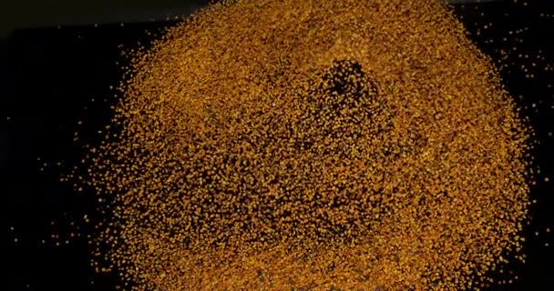 Gnocchi Polline Che Cadono Sfondo Nero Rallentamento — Video Stock
