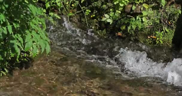 Rog Waterval Roski Slap Krka Natuurpark Buurt Van Sibenik Damaltia — Stockvideo