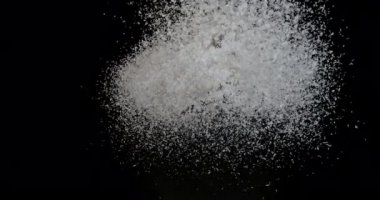 Hindistan cevizi, cocos nucifera, Kara Arkaplanda patlayan toz, yavaş çekim 4k