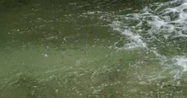 Skradins Şelalesi, Skradinski Buk, Krka Doğal Parkı, Hırvatistan 'ın Damaltia kentinde Sibenik yakınlarında