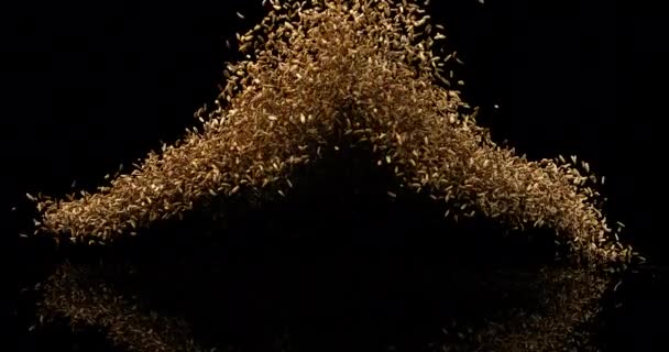 Seeds Fennel Foeniculum Vulgare Exploding Black Background Slow Motion — Stock Video