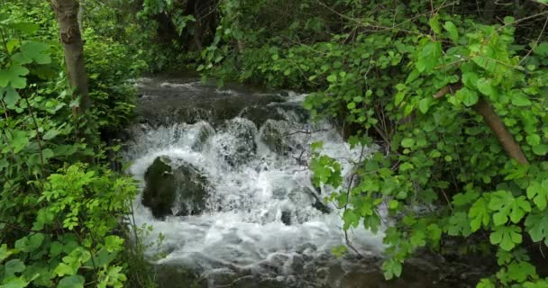 Skradins Wasserfall Skradinski Buk Krka Naturpark Der Nähe Von Sibenik — Stockvideo