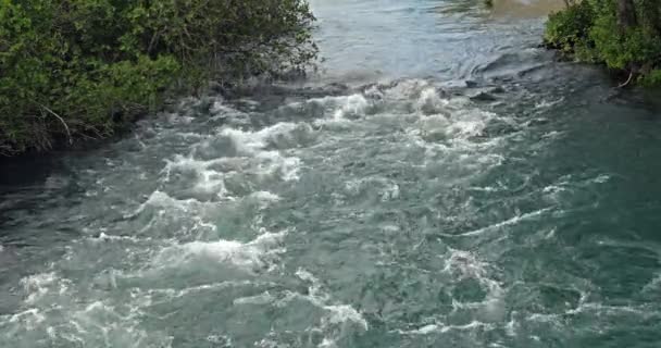 Air Terjun Rog Roski Slap Krka Natural Park Sibenik Damaltia — Stok Video