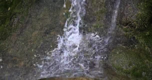 Skradins Waterval Skradinski Buk Natuurpark Krka Buurt Van Sibenik Damaltia — Stockvideo