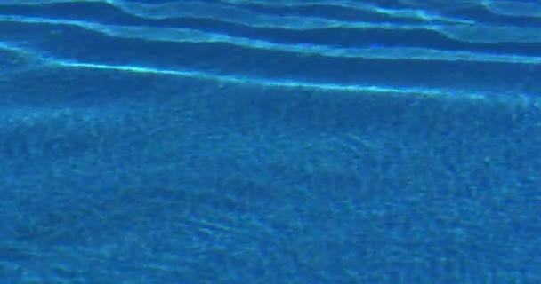 Yüzme Havuzunda Yüzeyi — Stok video