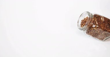 Kişniş, kişniş satium, Beyaz Arkaplan 'a düşen tohumlar, Yavaş Hareket 4k