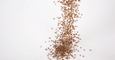 Kişniş, kişniş satium, Beyaz Arkaplan 'a düşen tohumlar, Yavaş Hareket 4k