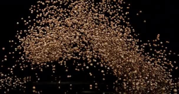 Buckwheat Falling Close — Stock Video