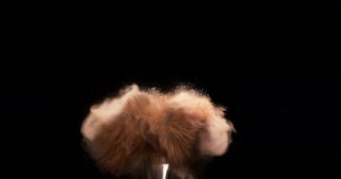 Makyaj fırçasında allık tozu