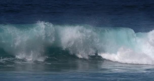 vagues fortes dans la mer orageuse  