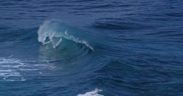 Strong Waves Sea Seascape Scenic View — Stock Video