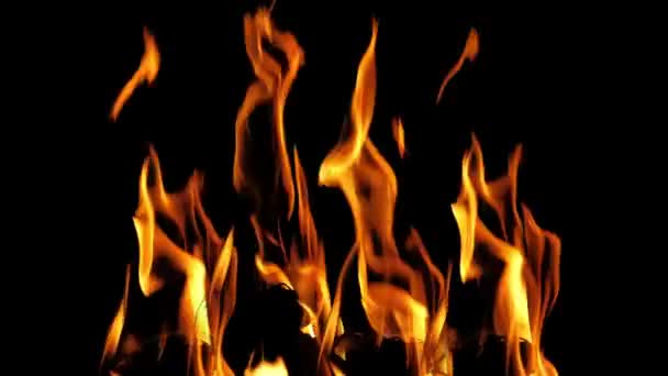 Vuur Vlammen Close Donkere Achtergrond — Stockvideo