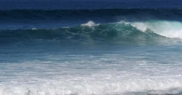 Ondas Fortes Mar Tempestuoso — Vídeo de Stock