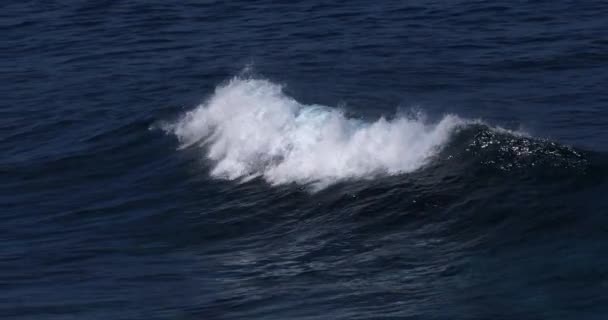 Fuertes Olas Mar Vista Panorámica Del Paisaje Marino — Vídeos de Stock