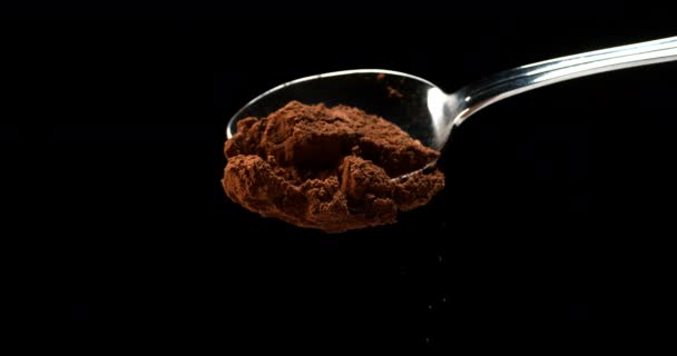 Nutmeg Powder Close — Stock Video