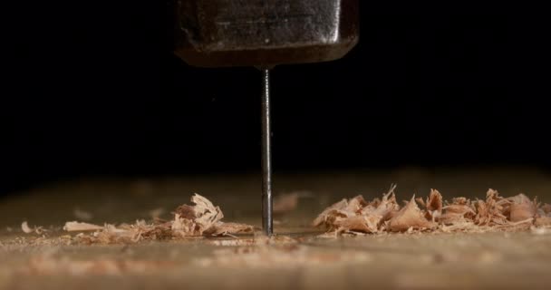 Tischler Arbeiten Mit Holz — Stockvideo