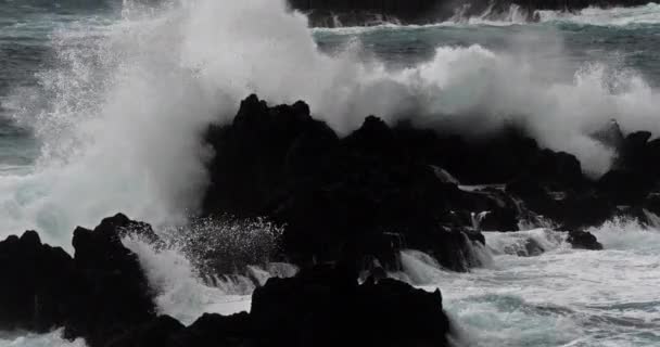 Ondas Fortes Mar Vista Panorâmica Paisagem Marinha — Vídeo de Stock