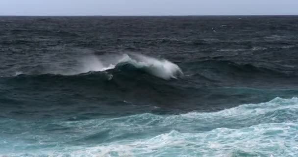 Ondas Fortes Mar Vista Panorâmica Paisagem Marinha — Vídeo de Stock