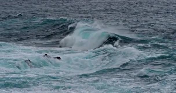 Starka Vågor Havet Havsutsikt Vacker Utsikt — Stockvideo
