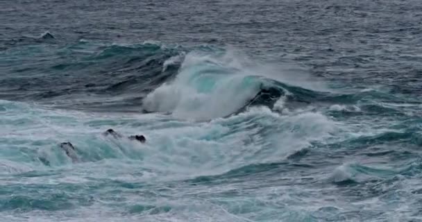 Vagues Fortes Dans Mer Vue Panoramique Sur Paysage Marin — Video