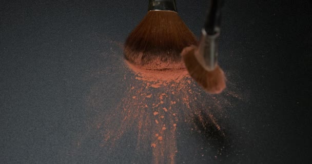 Blush Powder Dust Make Brush — Stock Video