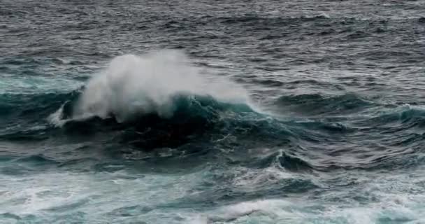 Сильні Хвилі Морі Морський Мальовничий Вид — стокове відео