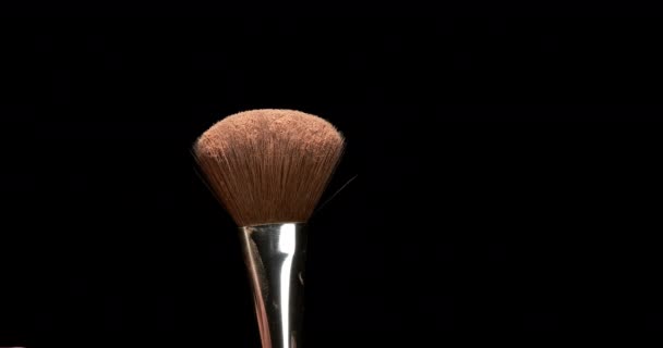 Polvo Rubor Cepillo Maquillaje — Vídeo de stock