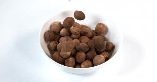 Nutmeg White Bowl Close — Stock Video