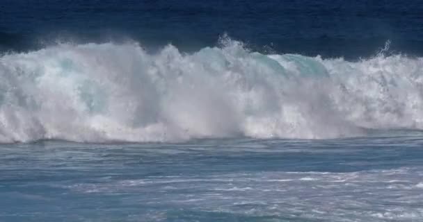 vagues fortes dans la mer orageuse  