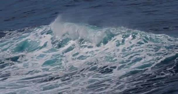Ondas Fortes Mar Vista Panorâmica Paisagem Marinha — Vídeo de Stock