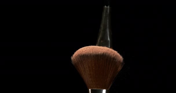 Polvo Rubor Cepillo Maquillaje — Vídeo de stock