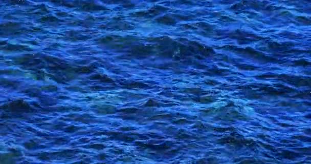 Zeeoppervlak Van Dichtbij — Stockvideo