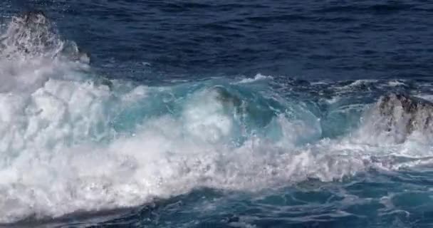 Vagues Fortes Dans Mer Orageuse — Video