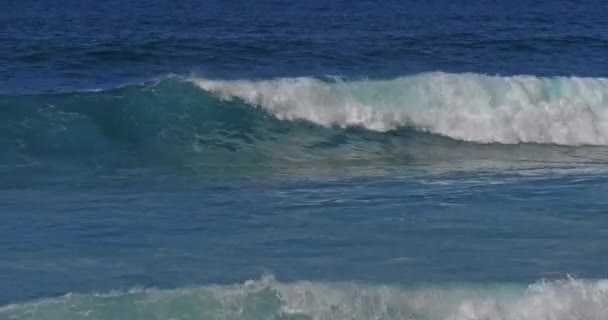 Ondas Fortes Mar Tempestuoso — Vídeo de Stock