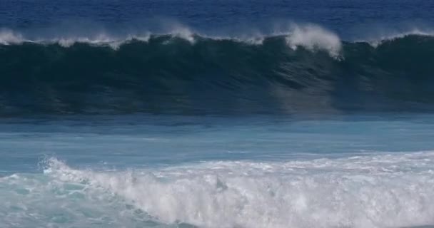 Vagues Fortes Dans Mer Orageuse — Video