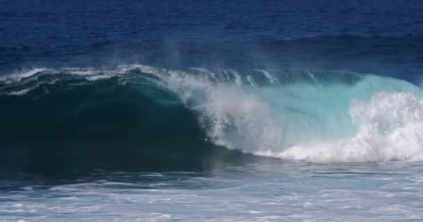 嵐の海での強い波 — ストック動画