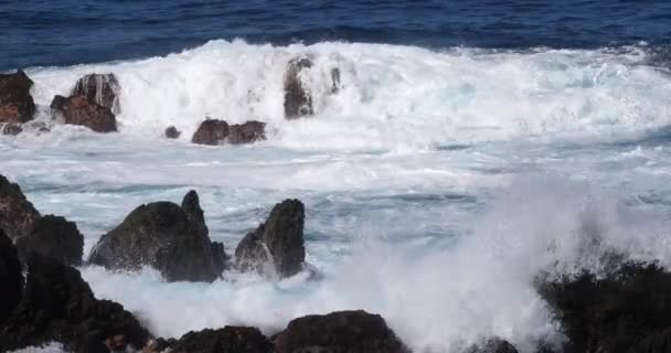 Vagues Fortes Dans Mer Orageuse — Video