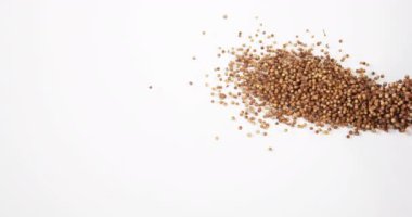 Kişniş, kişniş satium, Beyaz Arkaplan 'a düşen tohumlar, Yavaş Hareket 4k